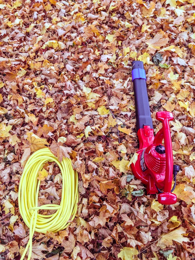 Category example: an electric leaf blower and vacuum outdoors among fallen leaves.
